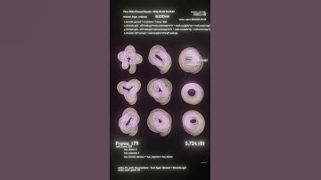 the equations of a seashell - made with blender python