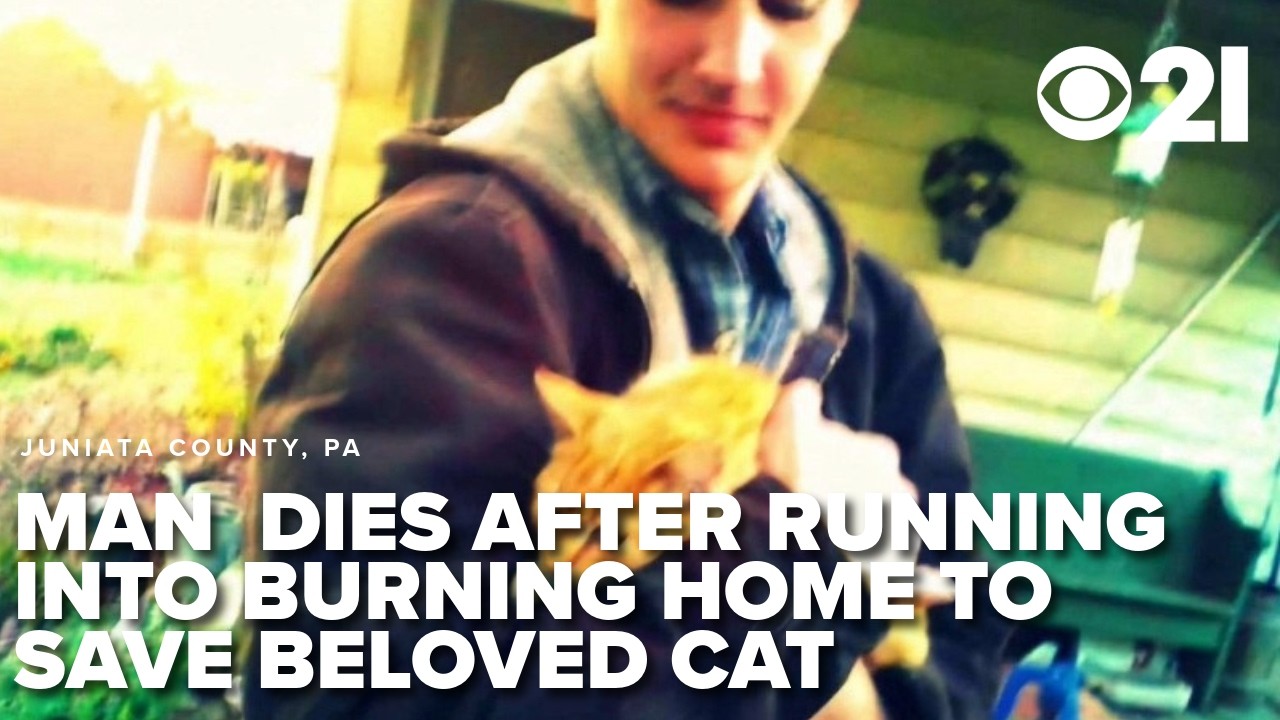 Man dies after running into burning home to try and save his cat ...