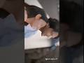 Love story status__Whatsapp status__romantic love story_i love you ringtone status ❤️