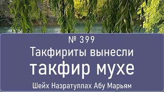 Такфириты вынесли такфир мухе