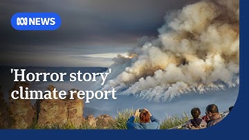 Climate report finds 1.5m Australians at risk from sea level rise by 2050 | ABC NEWS