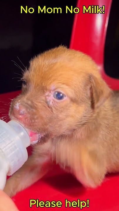 Download lagu 0403 11 002