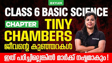 Class 6 Basic Science | Tiny Chambers of Life | ജീവനിന്റെ കുഞ്ഞറകൾ | Xylem Class 6