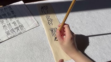 好鸟相鸣Seal Script-Chinese Calligraphy daily practice ｜篆书日課｜書道