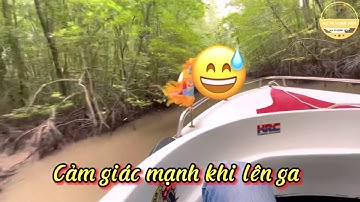 Khám Phá Cùng Trải Nghiệm xuyên Rừng Khu Du lịch Đất Mũi Cà Mau