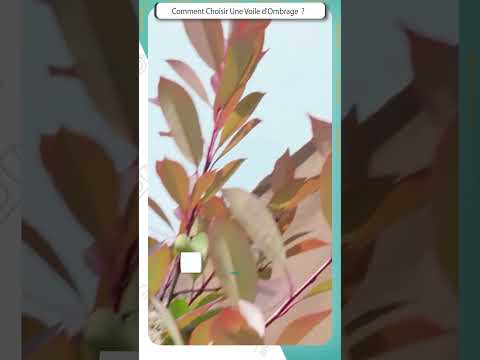 🏡 VOILE D'OMBRAGE - Les critères à prendre en compte ! 🥇