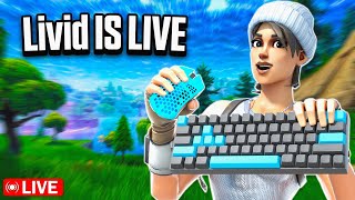 🎮Playing Fall guys And Splitgate 2 Beta🎮Chill Stream🎮