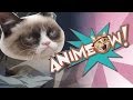 Cats Get Frisky in JUNJO ROMANTICA: Animeow: Ep. 3