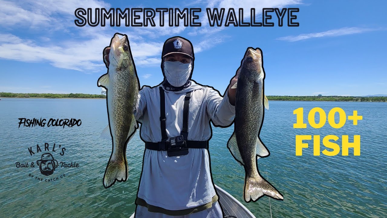 Summertime Walleye Fishing in Colorado 