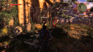 Witcher 2 glitch at 1st minute [ULTRA GRAPHICS]