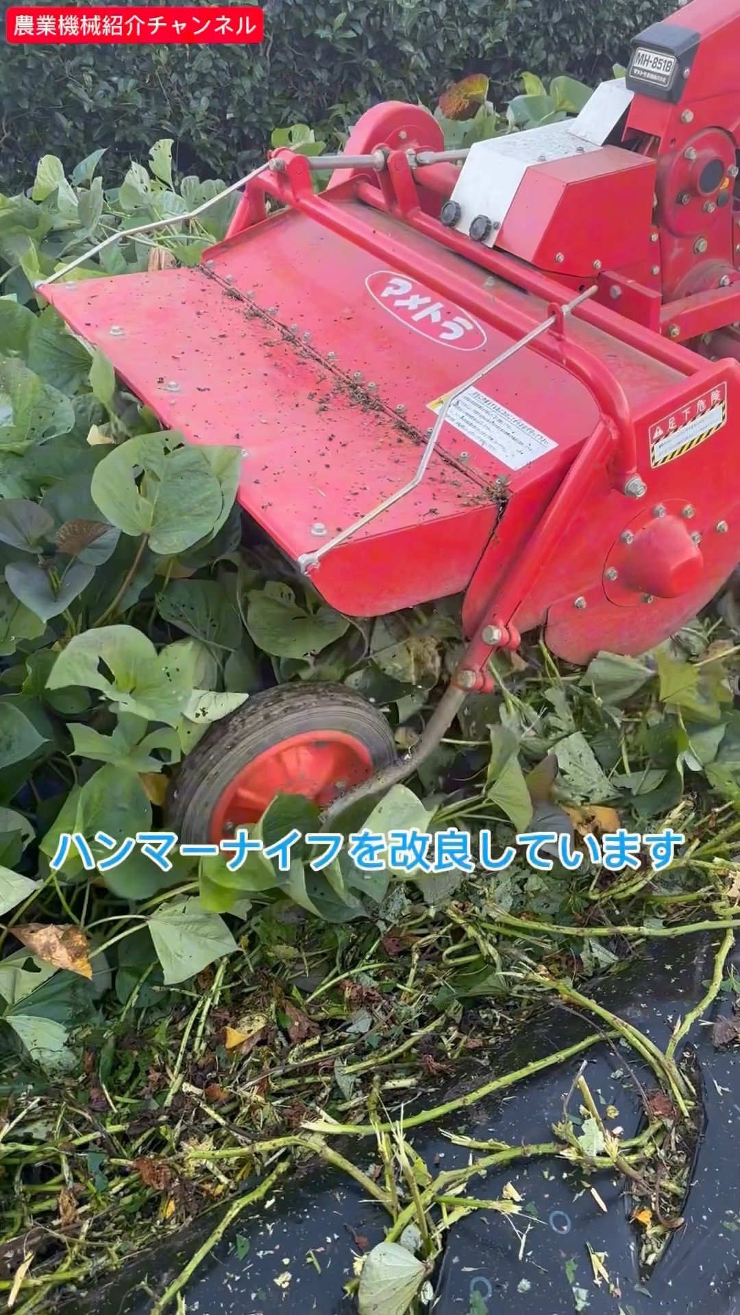 文明農機　つる切り機　芋　甘藷 文明農機 ヤンマー かんしょつる切機 FMS800 さといも ごぼう 焼酎芋
