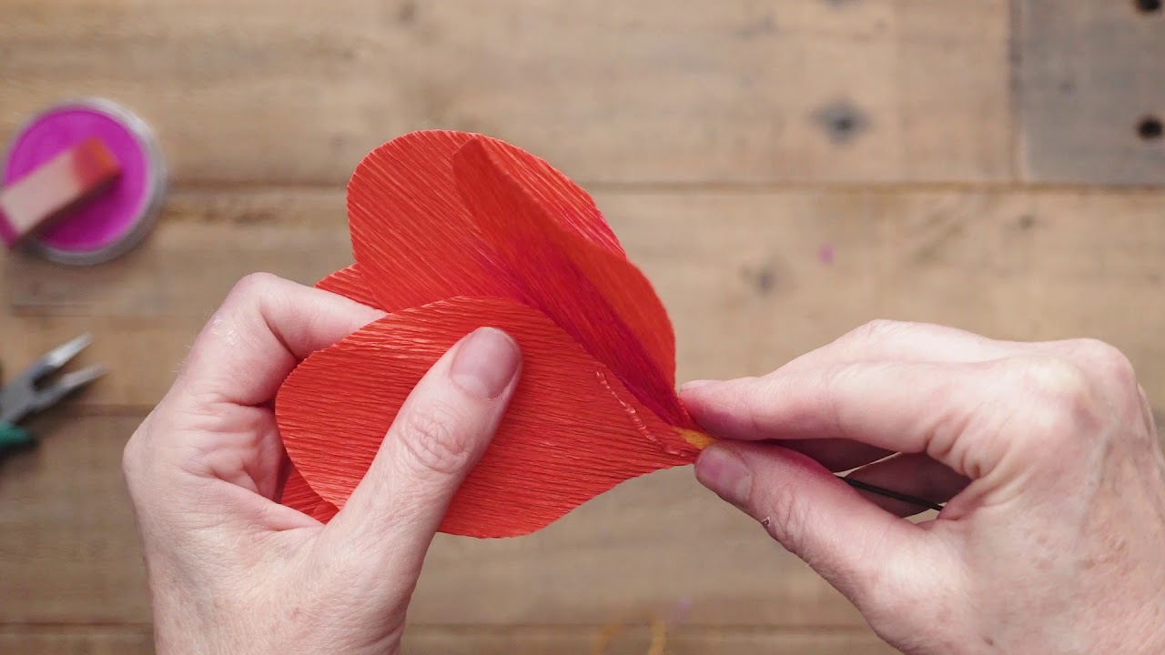 DIY Tropical Flowers: Tissue Paper Hibiscus - Lia Griffith