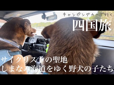 キャンピングカーで旅する野犬の子、しまなみ海道を行く！大島〜大三島