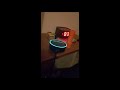 Fun with Alexa Echo