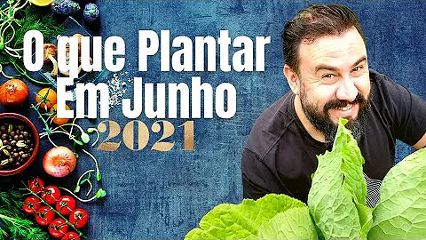 Que flores plantar no mês de junho?