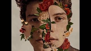 Shawn Mendes - Youth ft. Khalid Resimi