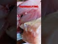 பாறை தலை 🤤🤯 #viral #fish #video #fishcutting #foodfish #seafood #sea #youtubeshorts #video