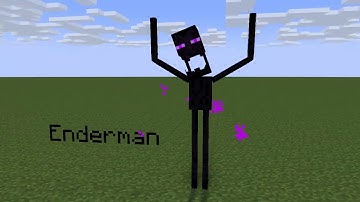 Anomaly 071 vs Enderman