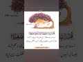 walideyn k Liye dua,#update#viralshort#dua#video#viralvideo#unfrezzmyaccount