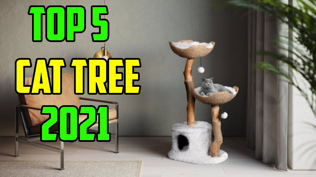 Cat Tree Best Cat Tree 2021 (Buying Guide) YouTube