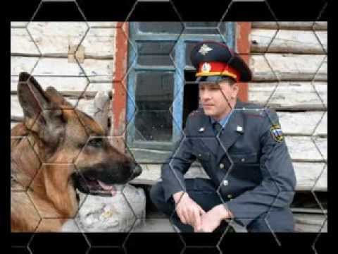 Возращение мухтара !!!