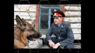 Возращение мухтара !!! Возращение мухтара !!!