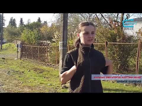 \"გააზიარე შენი სოფლის რეალური ამბები\" -   მოსახლეობის პრობლემები ნაგომარში