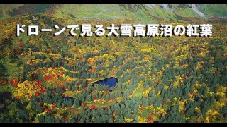 紅葉美しい錦色の森　秋の絶景ドローンで見る北海道「大雪高原沼めぐり」 2020