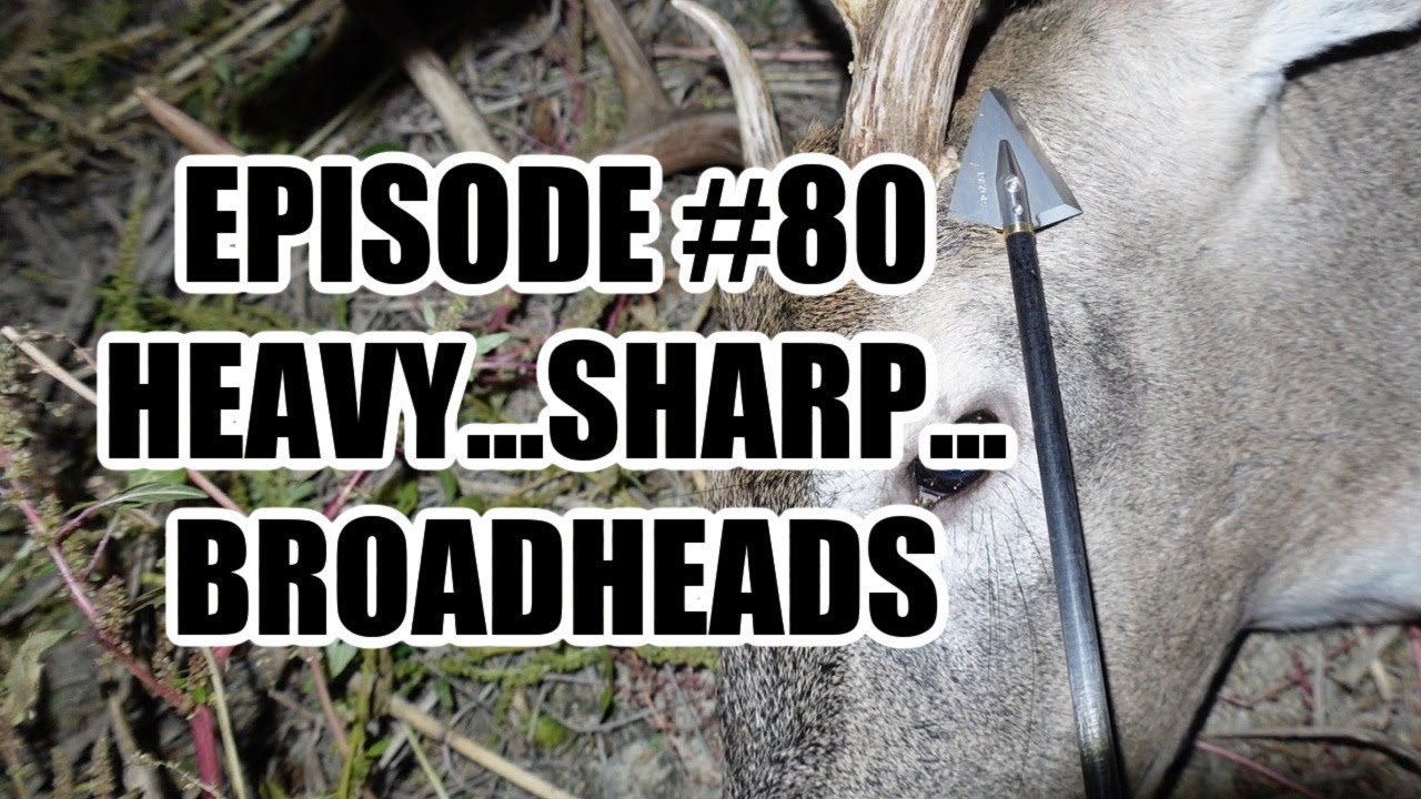 Episode 80 Heavy...Sharp...Broadheads with Razor Broadheads YouTube