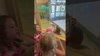 Monkey Wants To Play