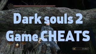 Dark souls 2 GAME CHEATS (trainer +12)