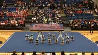 2014 GHSA Coed Sectionals - McIntosh