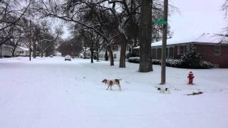 Columbus nebraska