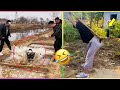 AWW NEW FUNNY 😂 Funny Videos #513