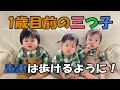 最近の三つ子の様子。三つ子育児も早1年を迎えようとしています。