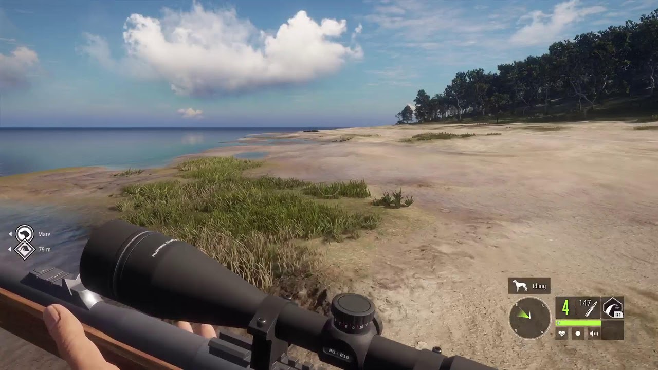 The Hunter COTW Harvesting Crocodile for Big Cash SewerRatx (ratboy)