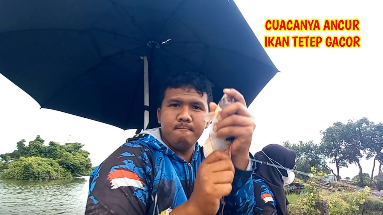 ADUHH‼️KENAPA LAH  BARU TAU ADA SPOT MANCING MANTAP DAN MURAH‼️EMPANG BANG RARAT