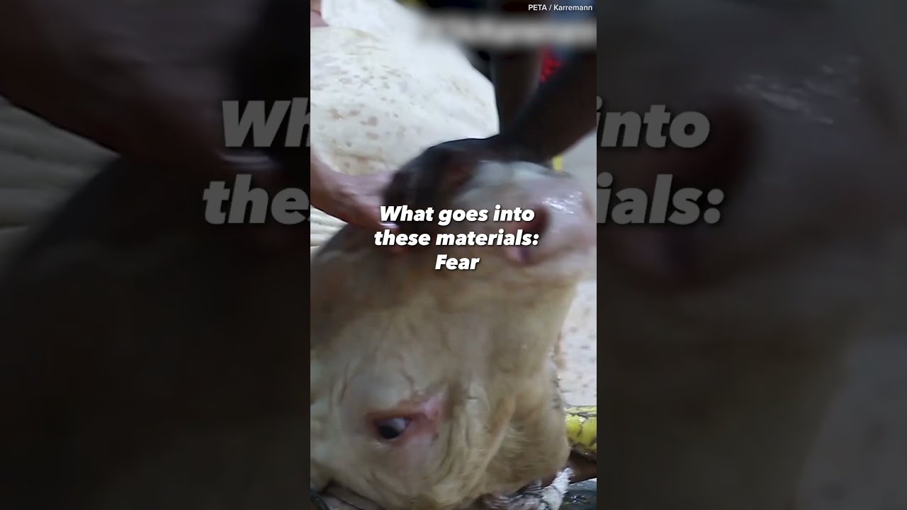 There S No Place For Cruelty At Fashion Biggest Night Out MetGala