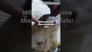 Theres No Place For Cruelty At Fashions Biggest Night Out.