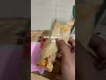 Exposing KFC chicken Tandoori roll … Value for money!!💰