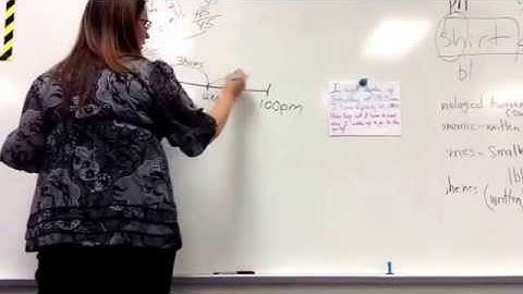 Module 4: measurement Concepts D&E