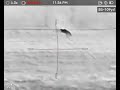 Thermal Hunting Bobcat with 308 win