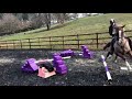 Horse falls, fails // Music video