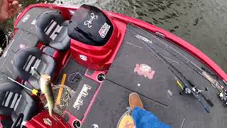 Pond Bass Boat Derby