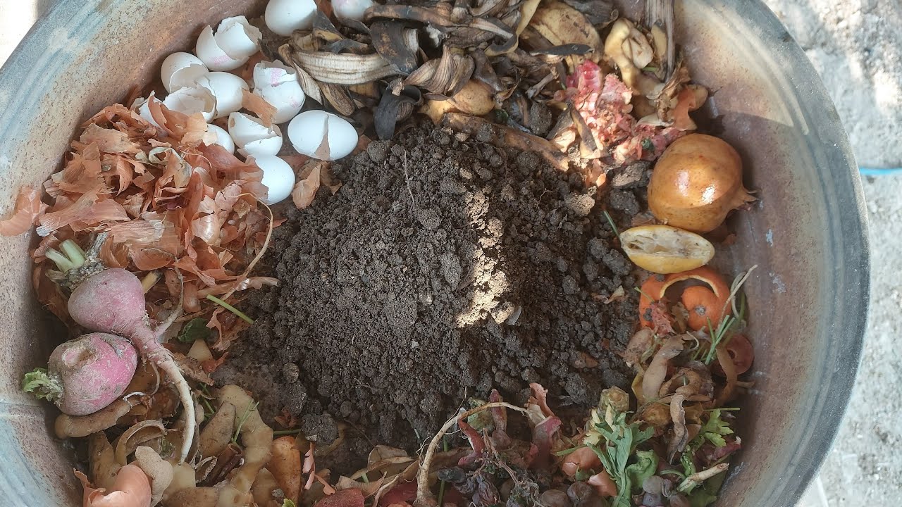 EVSEL ATIKLARI ÇÖPE ATMAYA SON💥💥EVSEL ATIKLARDAN KALİTELİ GÜBRE NASIL YAPILIR?💯💯