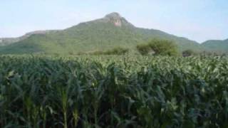La Higuera,Ayotlan,Jal. 2