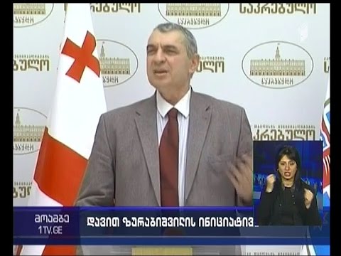 დავით ზურაბიშვილის ინიციატივა