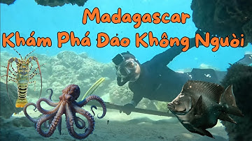 Madagascar Tập 2 - 2 Ngày 1 Đêm Khám Phá Đảo Hoang, Sinh Tồn, Lặn Biển Bắt Tôm Hùm Và Cua Biển