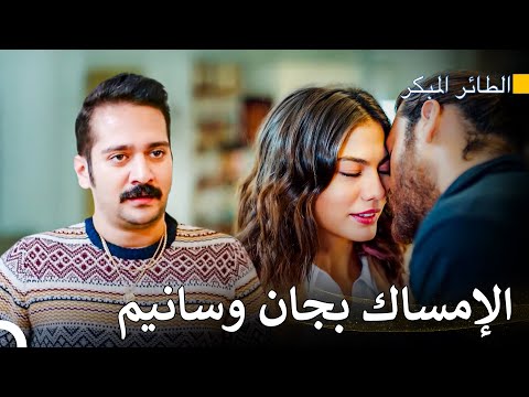 هل أنتي في علاقة مع المدير مسلسل الطائر المبكر