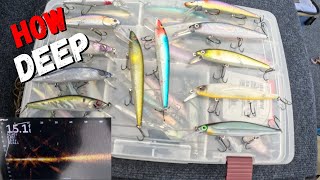 LiveScope Jerkbait Test How DEEP Do They REALLY DIVE